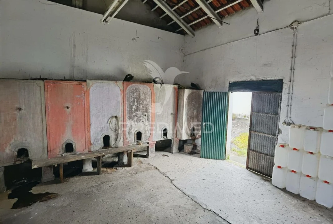 Quinta T3 para Venda em Casével e Vaqueiros Foto 28