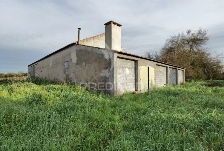 Quinta T3 para Venda em Casével e Vaqueiros Foto 4