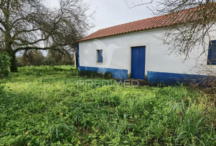 Quinta T3 para Venda em Casével e Vaqueiros Foto 7