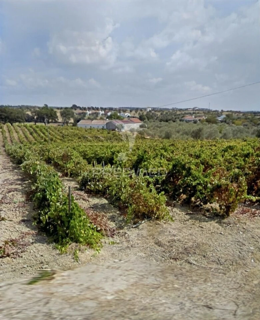 Quinta T3 para Venda em Casével e Vaqueiros Foto 35
