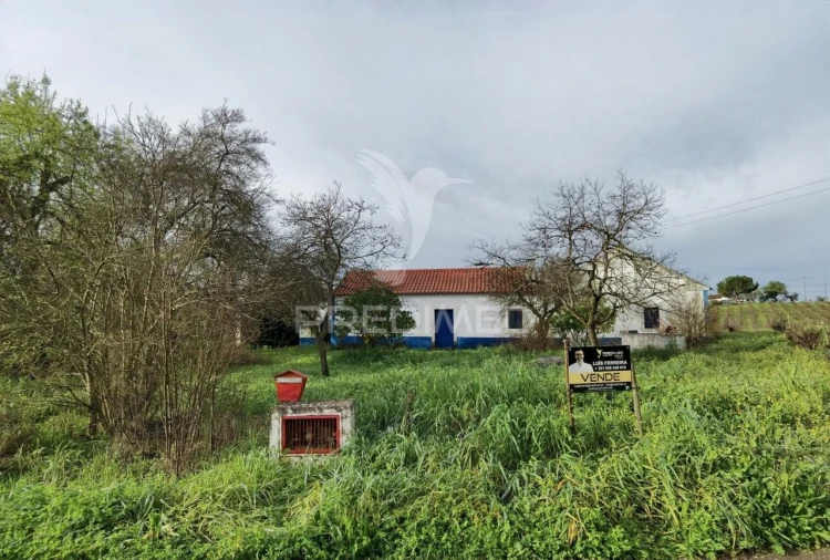 Quinta T3 para Venda em Casével e Vaqueiros Foto 10