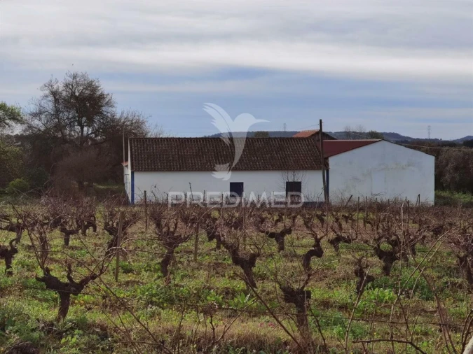 Quinta T3 para Venda em Casével e Vaqueiros Foto 2