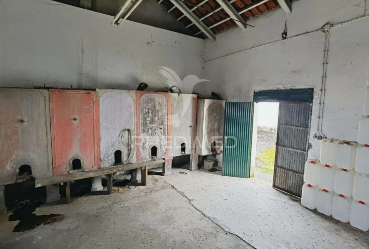 Quinta T3 para Venda em Casével e Vaqueiros Foto 28