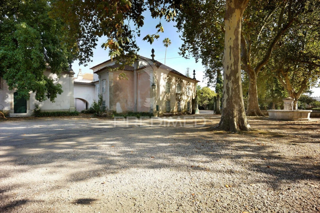 Moradia T0 para Venda em Arcos e Mogofores Foto 7