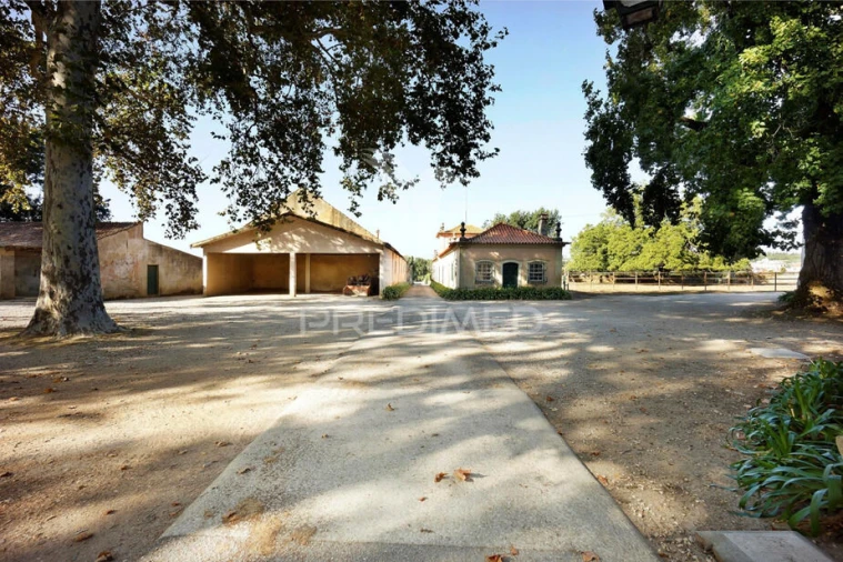 Moradia T0 para Venda em Arcos e Mogofores Foto 4