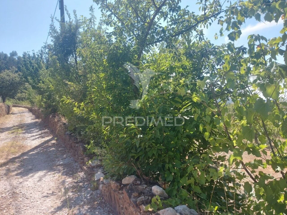 Quinta T0 para Venda em Fundão, Valverde, Donas, A. Joanes, A. Nova Cabo Foto 10