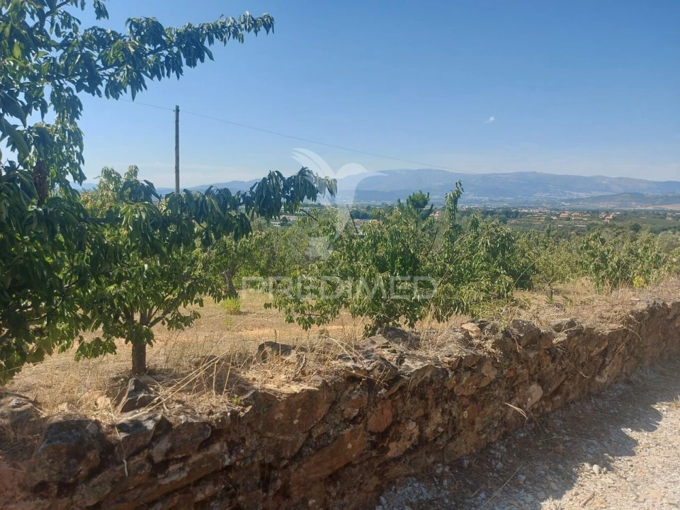 Quinta T0 para Venda em Fundão, Valverde, Donas, A. Joanes, A. Nova Cabo Foto 8