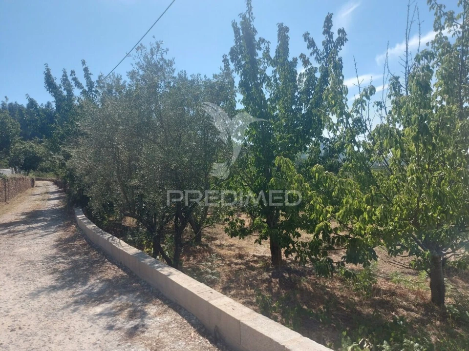 Quinta T0 para Venda em Fundão, Valverde, Donas, A. Joanes, A. Nova Cabo Foto 6