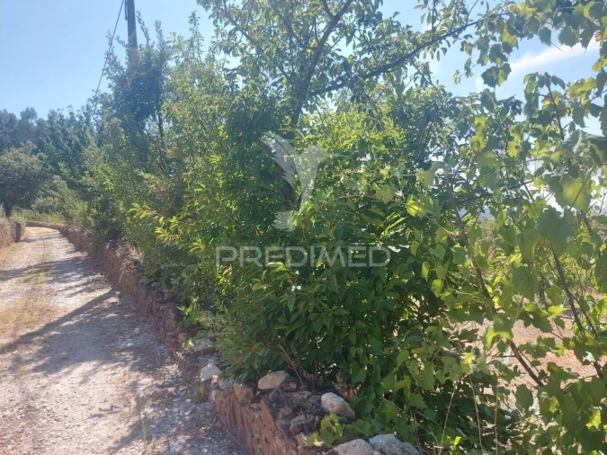 Quinta T0 para Venda em Fundão, Valverde, Donas, A. Joanes, A. Nova Cabo Foto 10