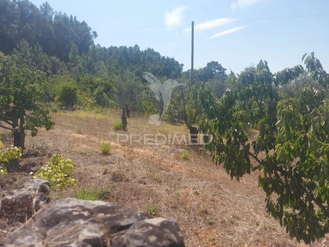 Quinta T0 para Venda em Fundão, Valverde, Donas, A. Joanes, A. Nova Cabo Foto 12