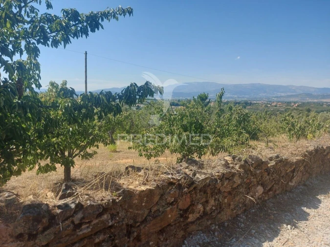 Quinta T0 para Venda em Fundão, Valverde, Donas, A. Joanes, A. Nova Cabo Foto 8