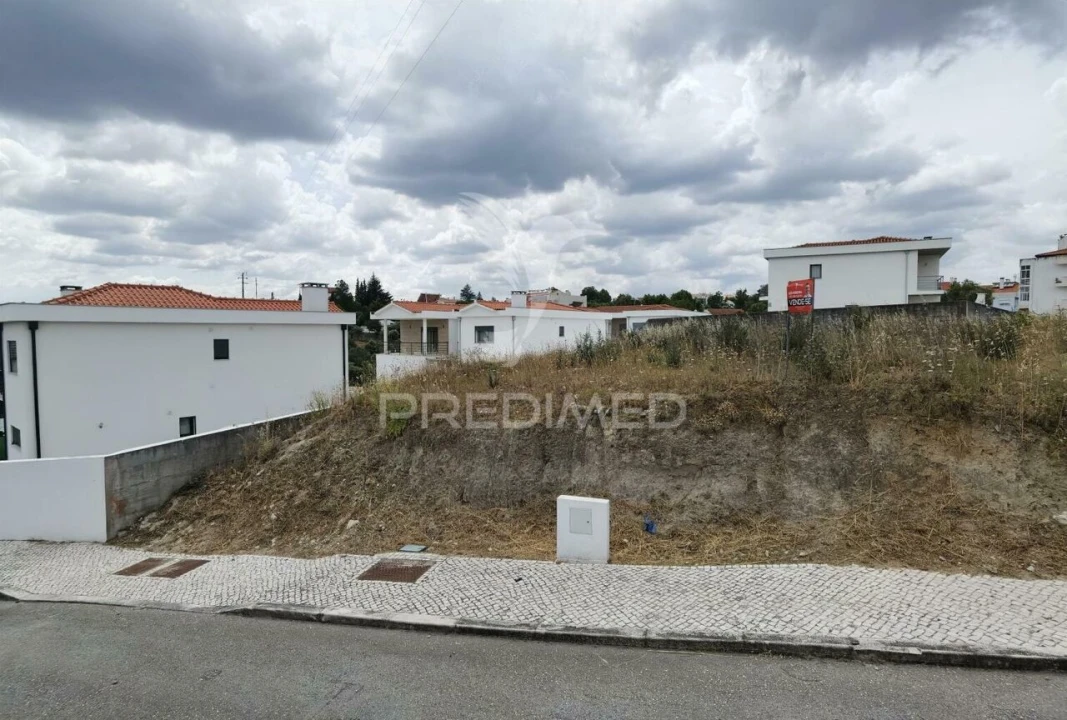 Terreno para Venda em Alcanena e Vila Moreira Foto 7