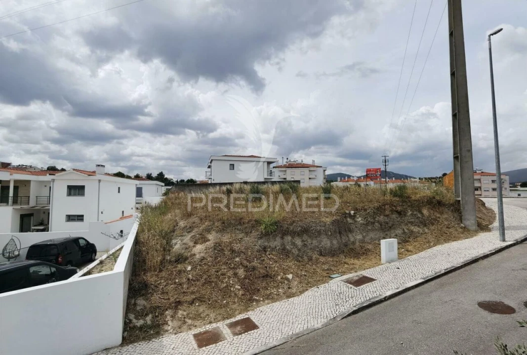 Terreno para Venda em Alcanena e Vila Moreira Foto 8