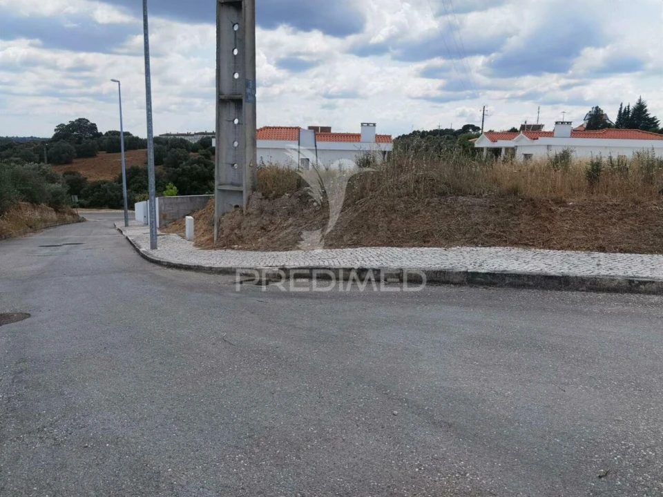 Terreno para Venda em Alcanena e Vila Moreira Foto 10