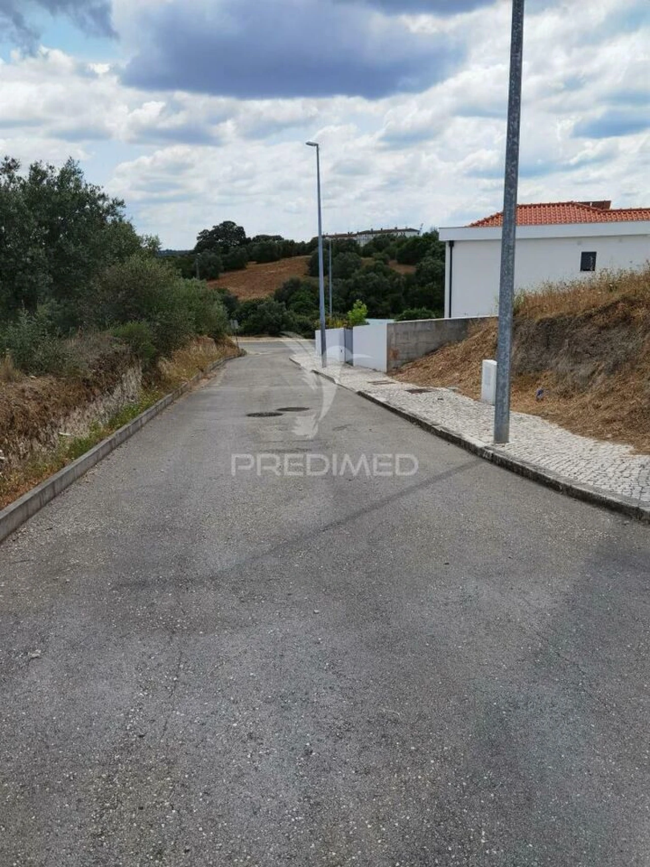 Terreno para Venda em Alcanena e Vila Moreira Foto 2