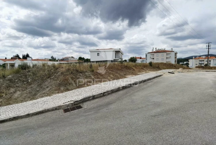 Terreno para Venda em Alcanena e Vila Moreira Foto 3