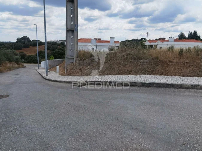 Terreno para Venda em Alcanena e Vila Moreira Foto 10