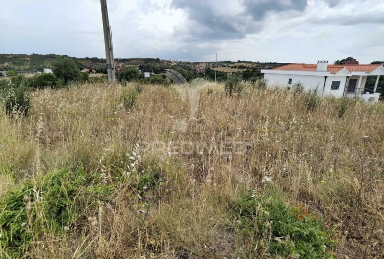 Terreno para Venda em Alcanena e Vila Moreira Foto 12