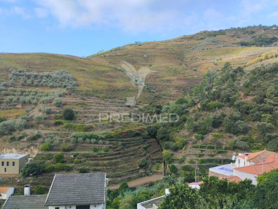 Terreno para Venda em Galafura e Covelinhas Foto 5