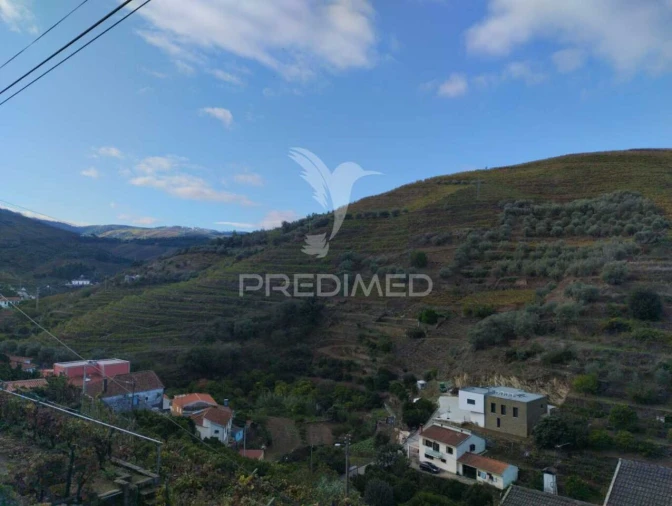 Terreno para Venda em Galafura e Covelinhas Foto 4