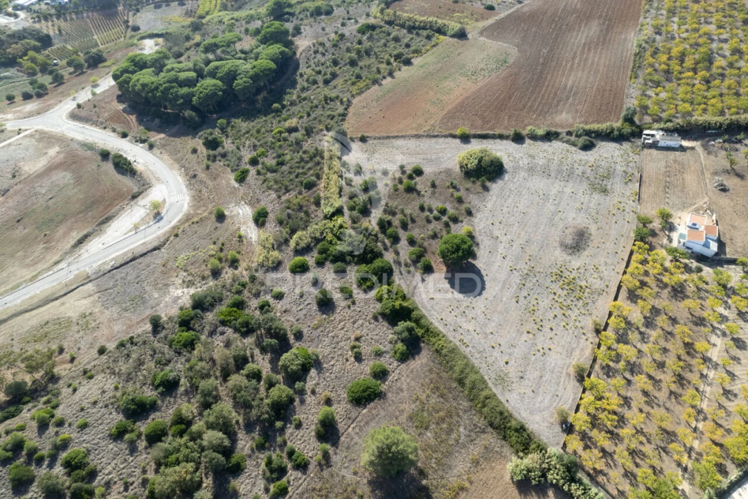 Terreno para Venda em Alenquer (Santo Estêvão e Triana) Foto 9