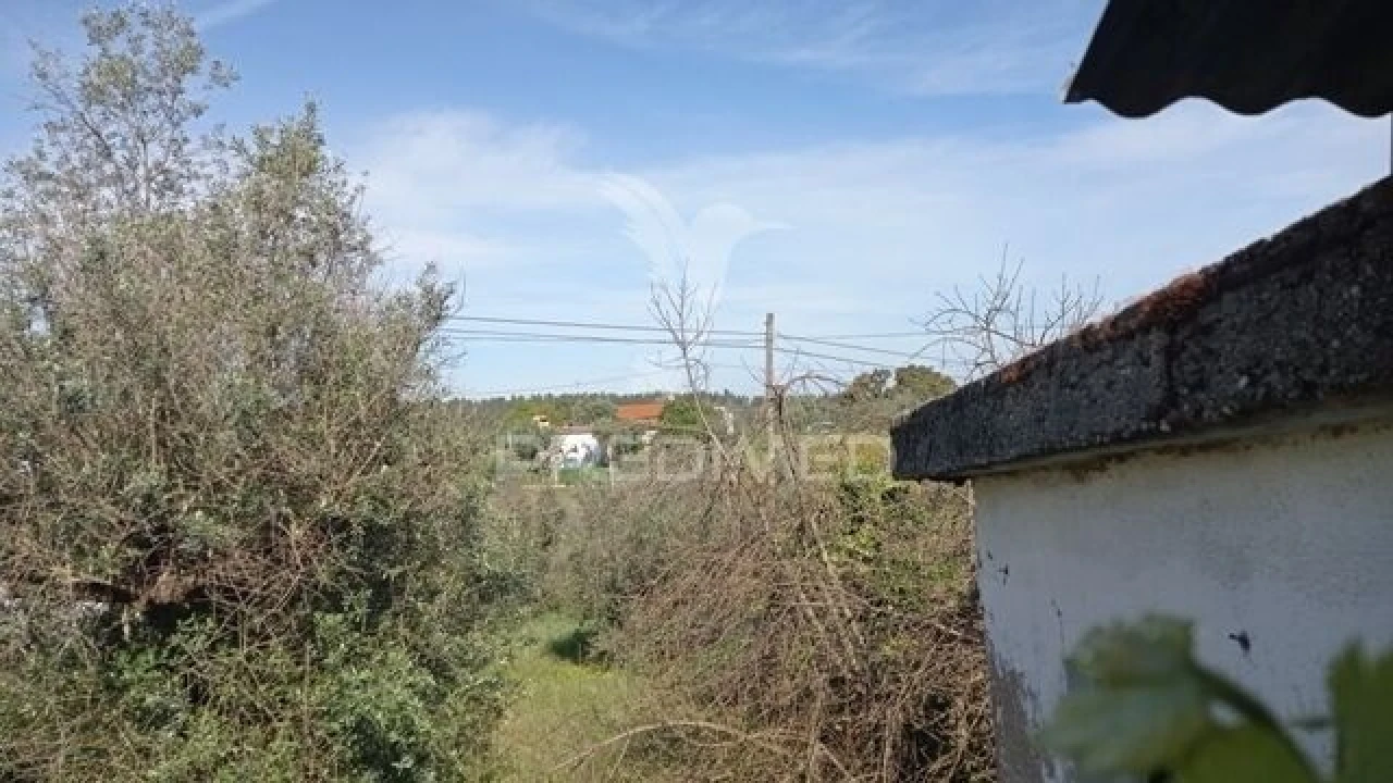 Moradia T2 para Venda em Alvega e Concavada Foto 5