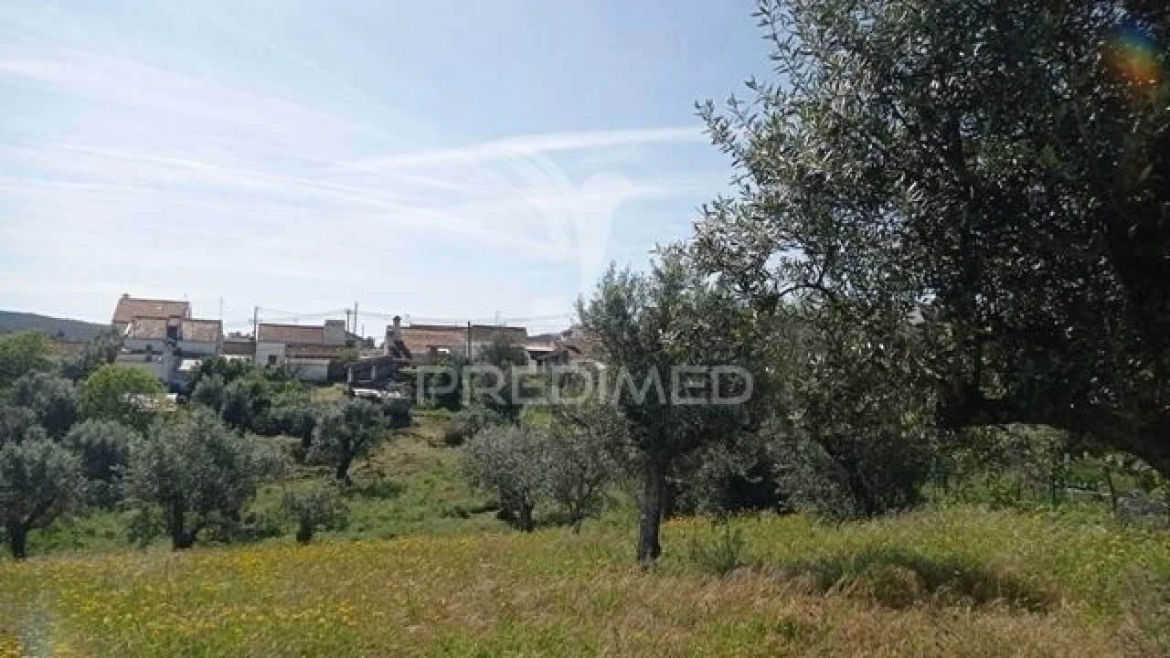 Moradia T2 para Venda em Alvega e Concavada Foto 25