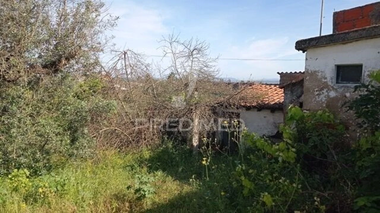 Moradia T2 para Venda em Alvega e Concavada Foto 6