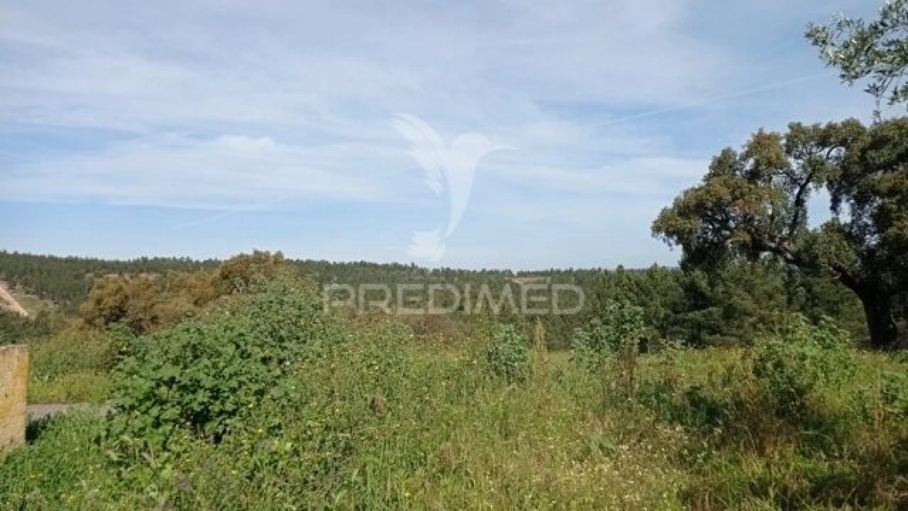 Moradia T2 para Venda em Alvega e Concavada Foto 26