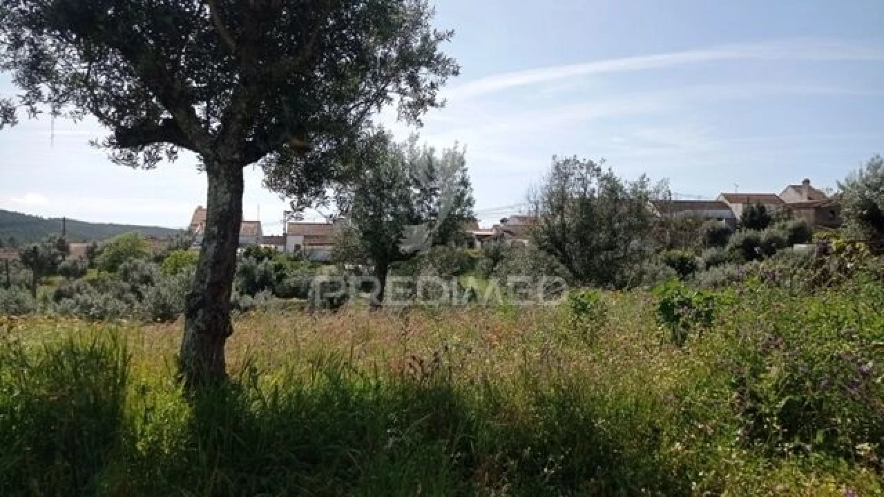 Moradia T2 para Venda em Alvega e Concavada Foto 24