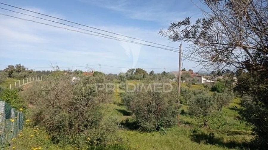 Moradia T2 para Venda em Alvega e Concavada Foto 7