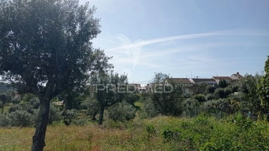 Moradia T2 para Venda em Alvega e Concavada Foto 23