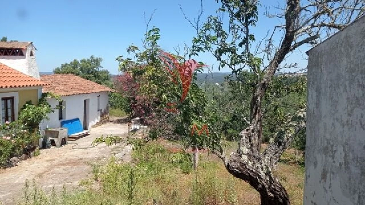 Moradia T3 para Venda em Aldeia do Mato e Souto Foto 15