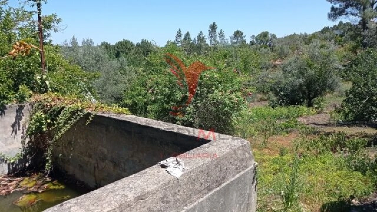 Moradia T3 para Venda em Aldeia do Mato e Souto Foto 20