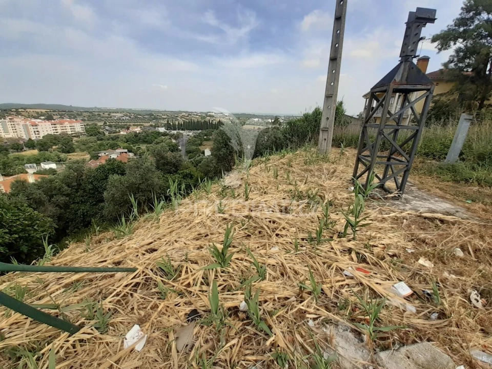Terreno para Venda em Torres Novas (Santa Maria, Salvador e Santiago) Foto 15