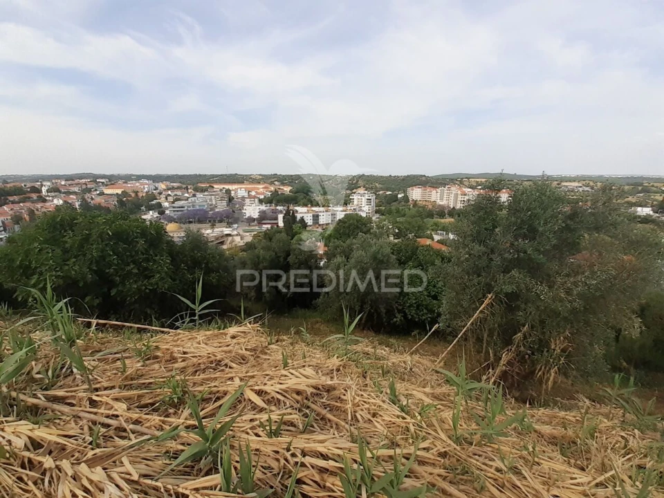 Terreno para Venda em Torres Novas (Santa Maria, Salvador e Santiago) Foto 14
