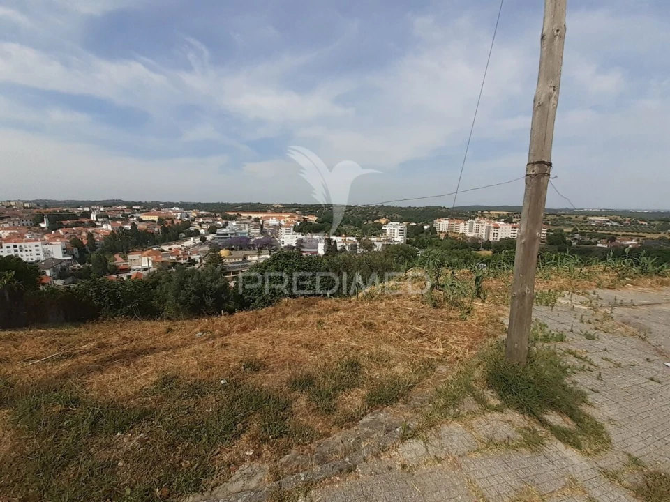 Terreno para Venda em Torres Novas (Santa Maria, Salvador e Santiago) Foto 6