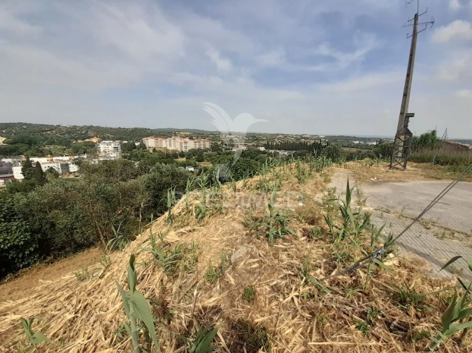 Terreno para Venda em Torres Novas (Santa Maria, Salvador e Santiago) Foto 9