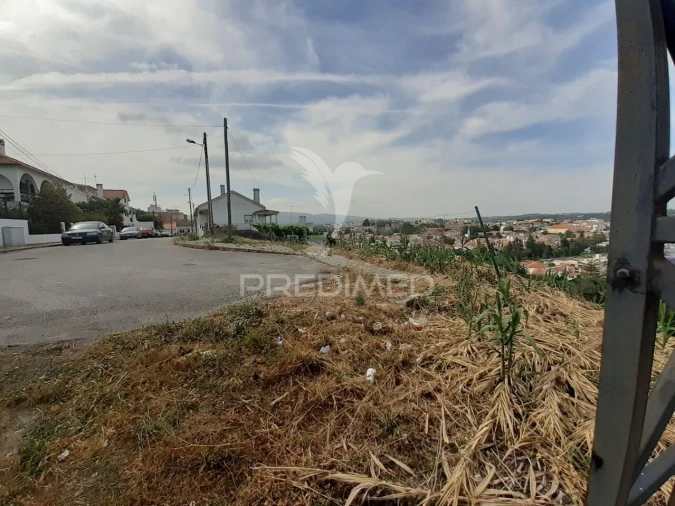 Terreno para Venda em Torres Novas (Santa Maria, Salvador e Santiago) Foto 3