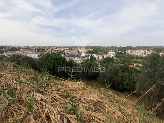 Terreno para Venda em Torres Novas (Santa Maria, Salvador e Santiago) Foto 13