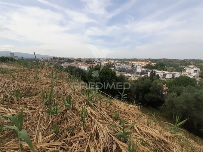 Terreno para Venda em Torres Novas (Santa Maria, Salvador e Santiago) Foto 12