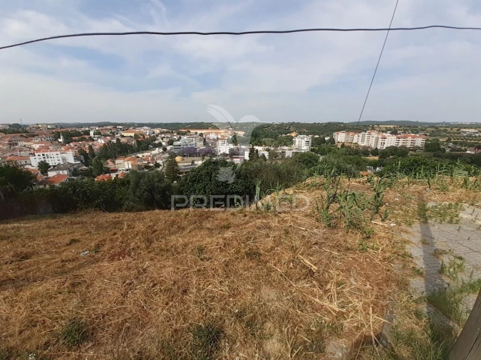 Terreno para Venda em Torres Novas (Santa Maria, Salvador e Santiago) Foto 8