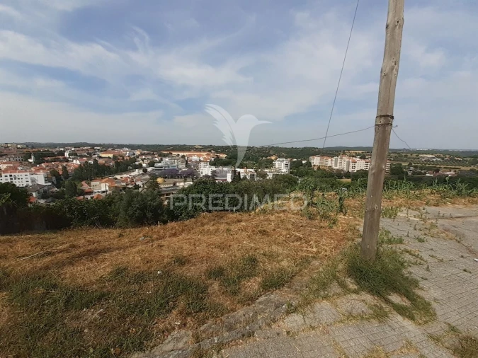 Terreno para Venda em Torres Novas (Santa Maria, Salvador e Santiago) Foto 6
