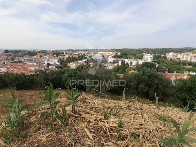 Terreno para Venda em Torres Novas (Santa Maria, Salvador e Santiago) Foto 10