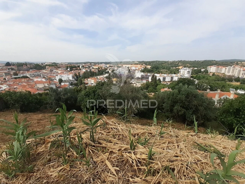 Terreno para Venda em Torres Novas (Santa Maria, Salvador e Santiago) Foto 10