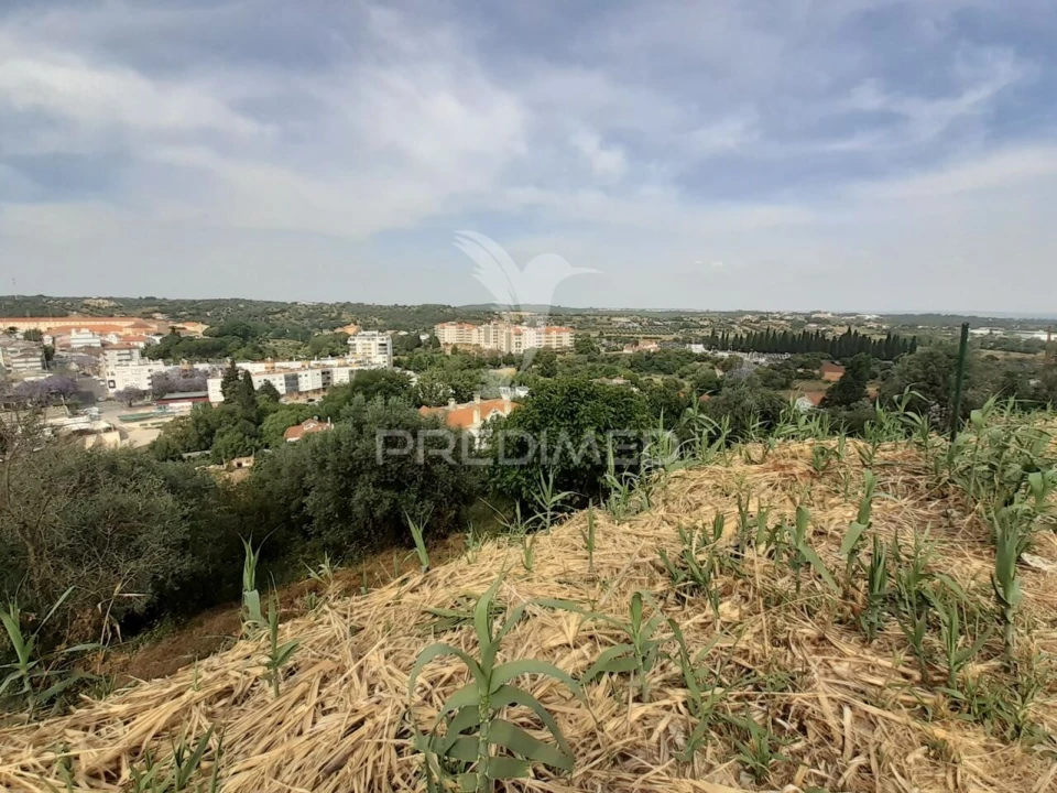 Terreno para Venda em Torres Novas (Santa Maria, Salvador e Santiago) Foto 11