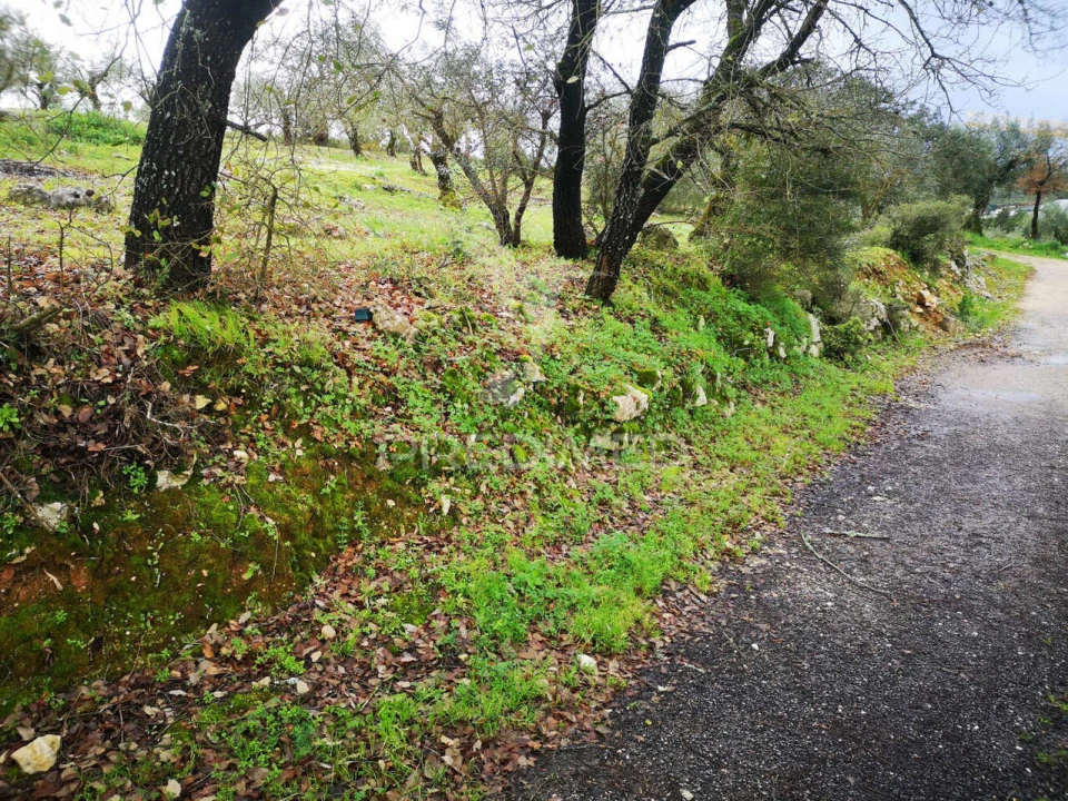 Terreno para Venda em Santa Catarina da Serra e Chainça Foto 8