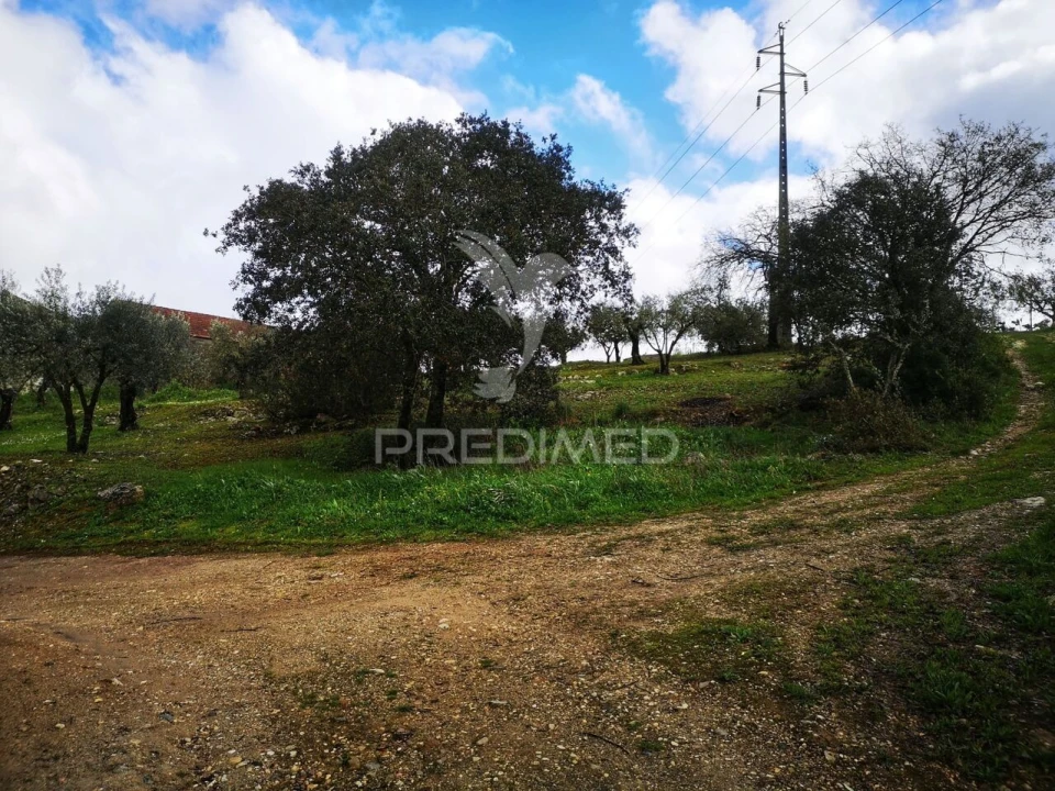 Terreno para Venda em Santa Catarina da Serra e Chainça Foto 3