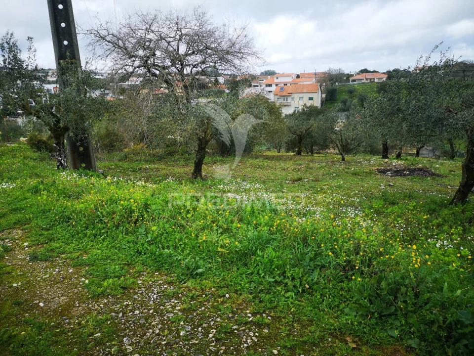 Terreno para Venda em Santa Catarina da Serra e Chainça Foto 5