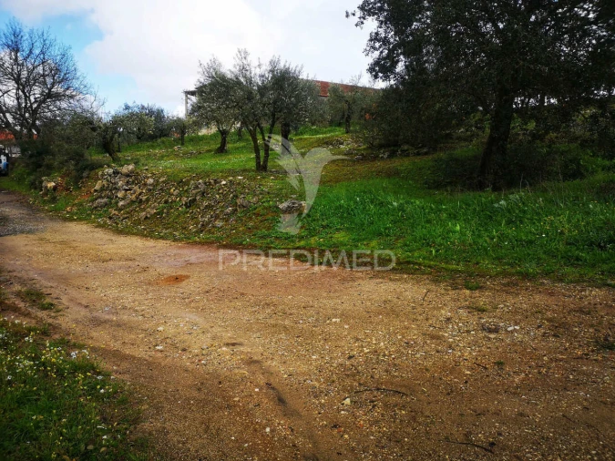 Terreno para Venda em Santa Catarina da Serra e Chainça Foto 4